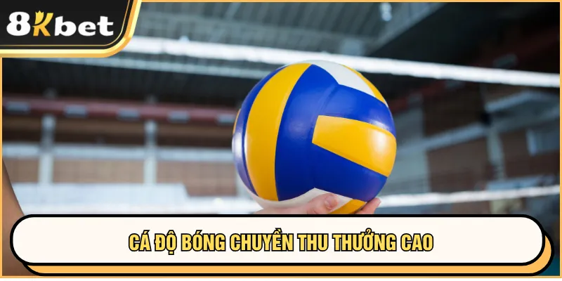 Cá Cược Thể Thao 8KBET – Kèo Chất Lượng, Tỷ Lệ Giá Trị 4 Cá độ bóng chuyền thu thưởng cao