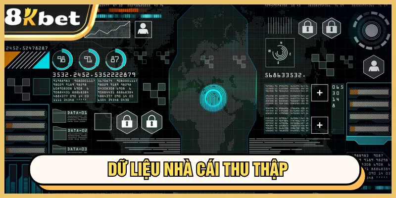 Chính sách bảo mật 8kbet 6 Các dữ liệu tổng hợp